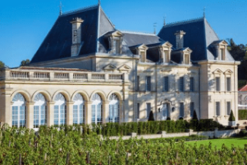 For Olympic Travelers, Chateau Fonplegade, Saint-Emilion, France