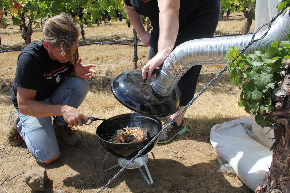 Researchers Make Major Breakthrough in Understanding Chemistry of Smoke in Wine post image