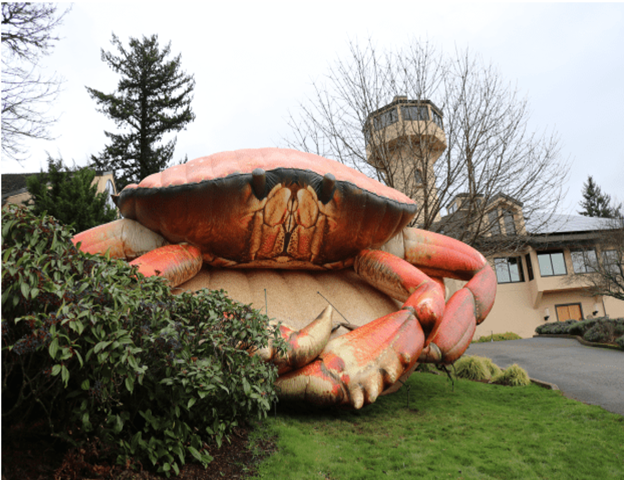 Willamette Valley Vineyards to Host Seafood Festival post image