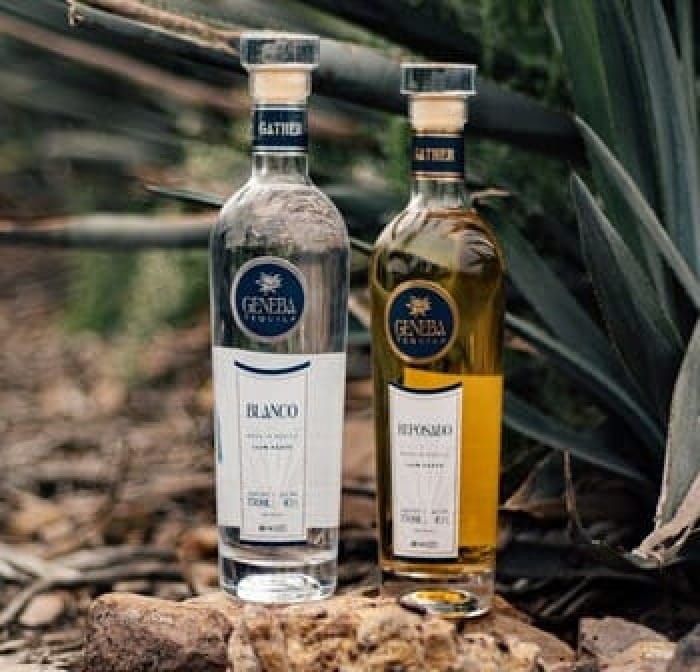 Geneba Debuts as a Premium Tequila For Women post image