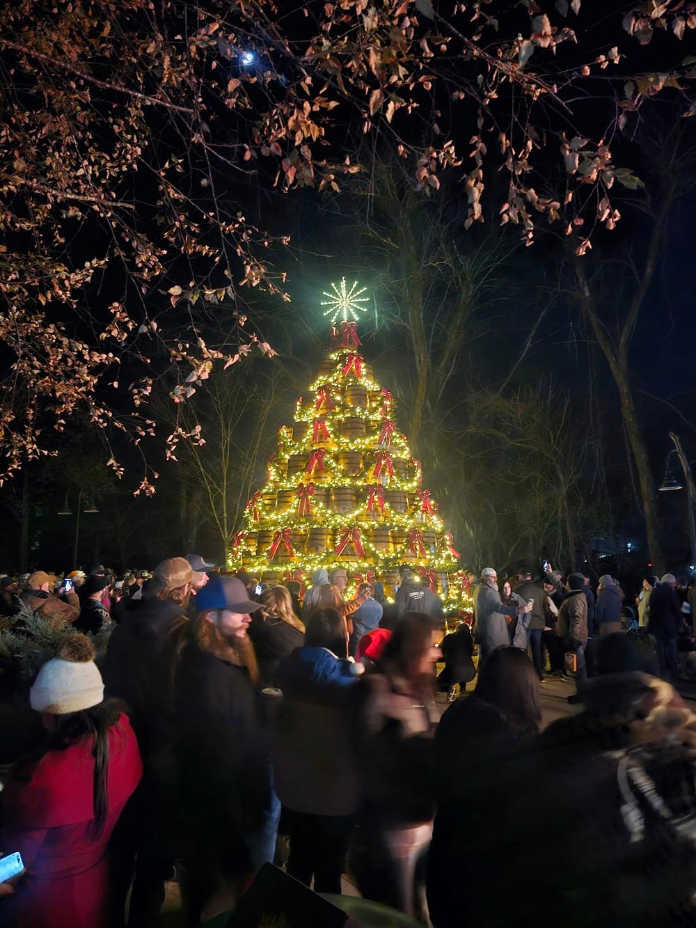 Jack Daniel’s Launches Annual Barrel Tree Sale post image