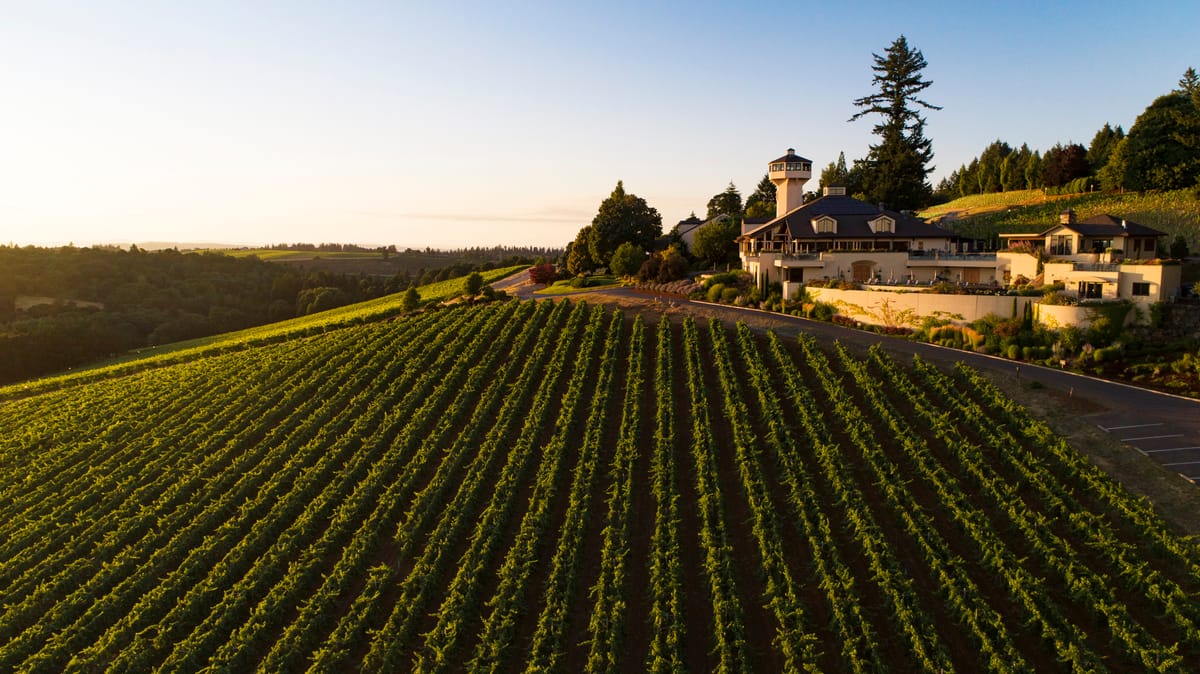 Willamette Valley Vineyards Sales Fall, 1Q Net Loss Widens