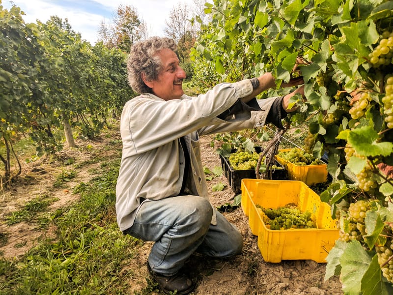 Konstantin Frank Winery: 40 Years of Sparkling Wine post image